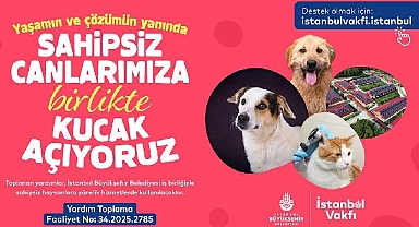 İstanbul Vakfı’ndan sahipsiz can dostlarımıza destek çağrısı