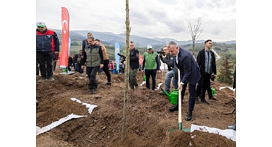Karamürsel’de yanan bölge 3 bin fidanla yeniden yeşerecek